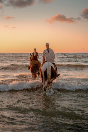 HORSE RIDING