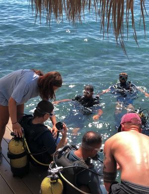 Discover Dive