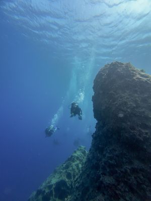 Refresh Dive